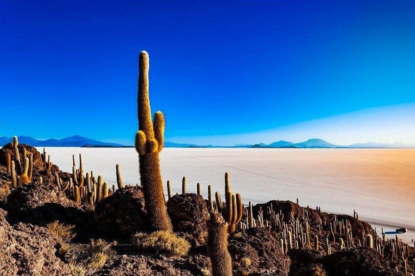 Salar De Uyuni (3 Days) Spanish Speaking Guide 2