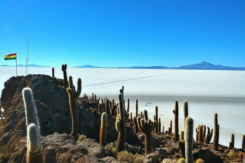 Salar De Uyuni (3 Days) Spanish Speaking Guide 3