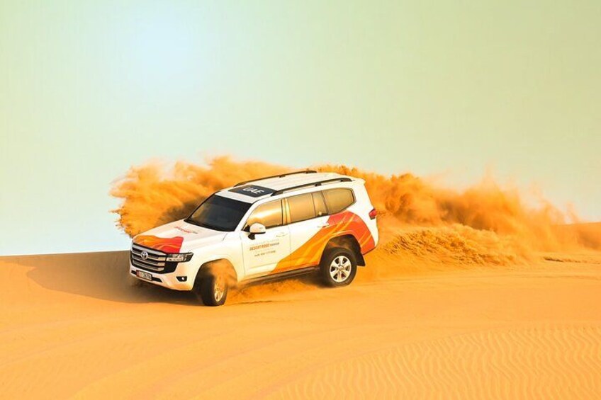Half-Day Desert Safari from Abu Dhabi 3