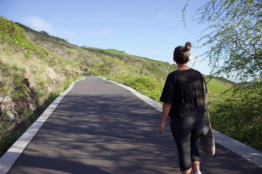 Una persona caminando por un camino pavimentado, rodeado de vegetación. 2