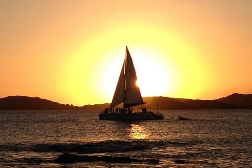 The VI Cat at Sunset 5