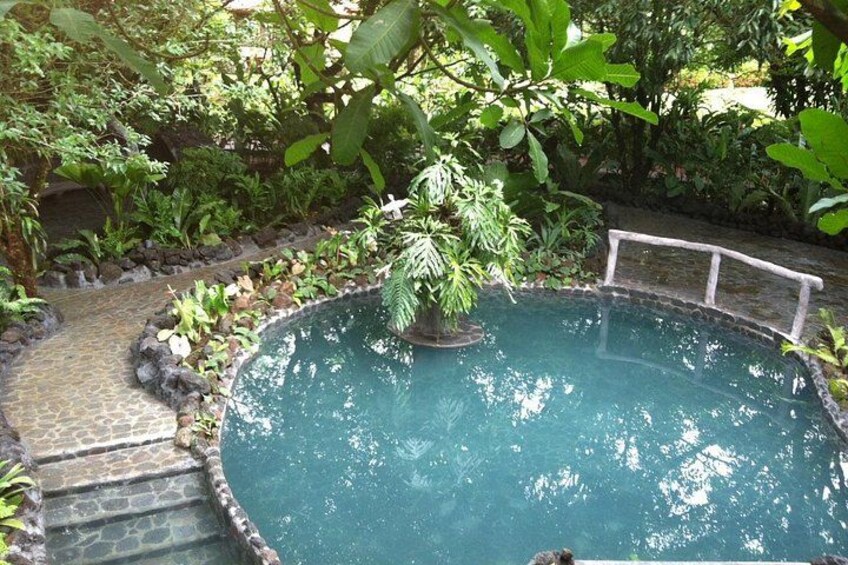 En rund pool med en stenlagd gångväg som leder fram till den, omgiven av frodig grönska och en liten bro över vattnet. 2