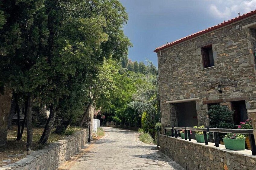 Halkidiki Experience: Private Tour to Sithonia from Thessaloniki 2