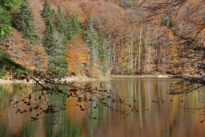 A calm lake surrounded by autumn-colored trees. 4
