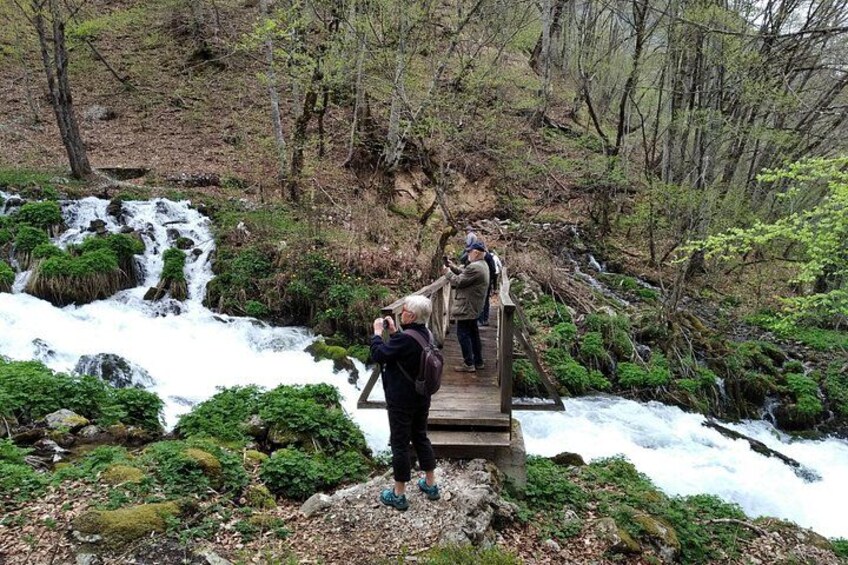 A wooden bridge over a waterfall in a forested area. 3
