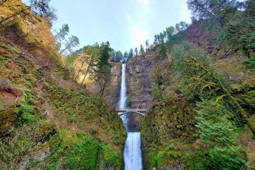 Magnificent Multnomah Falls 1