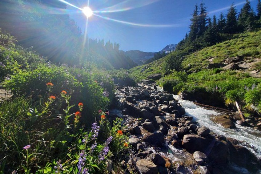 Columbia Gorge Waterfalls and Mt. Hood Tour - Full Day 2