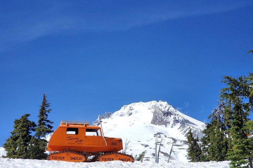 Columbia Gorge Waterfalls and Mt. Hood Tour - Full Day 3