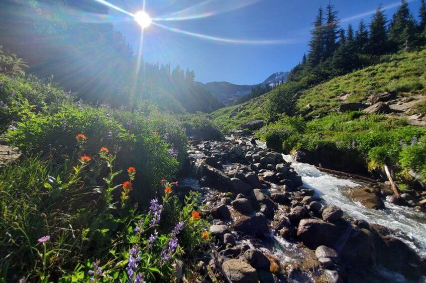 Columbia Gorge Waterfalls and Mt. Hood Tour - Full Day 3