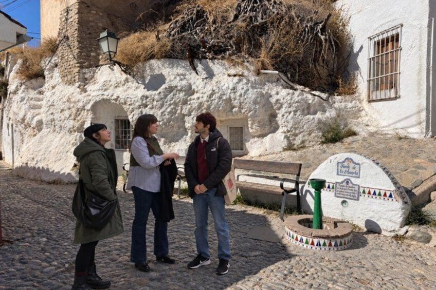 Private tour: 4 cultures, Granada in depth 3