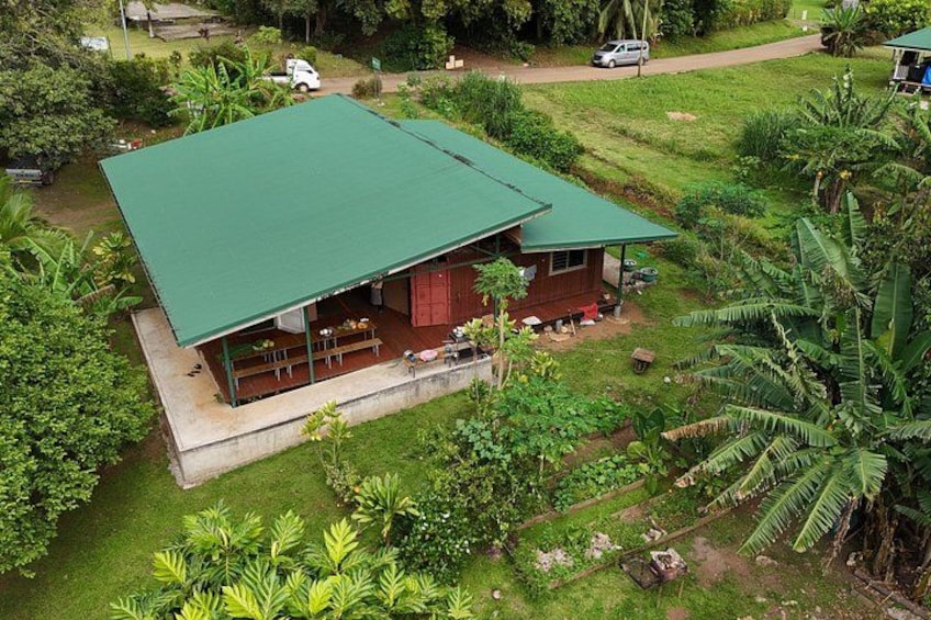 Een huis met een groen dak, omringd door weelderige begroeiing en een heldere lucht. 4