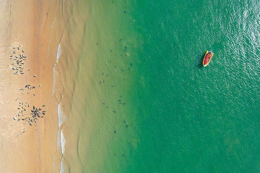 A beach with a boat on the water. 5