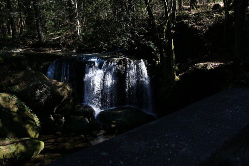 A waterfall surrounded by trees. 3