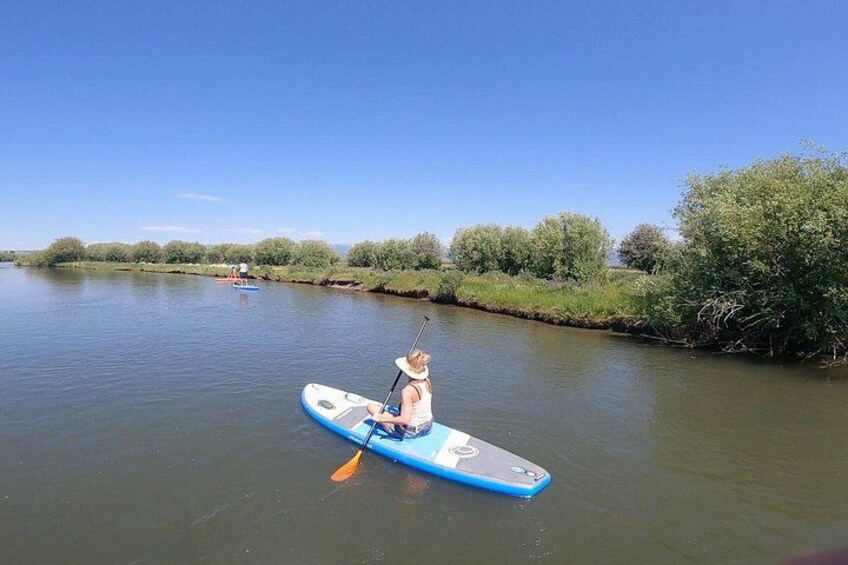 Teton River Paddleboard Adventure - 4.5 Miles 3