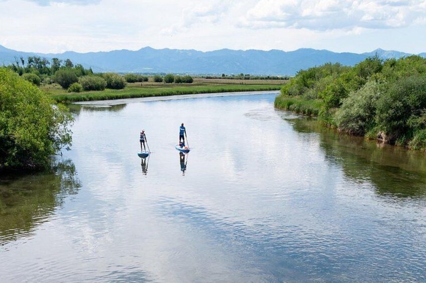 Teton River Paddleboard Adventure - 4.5 Miles 4