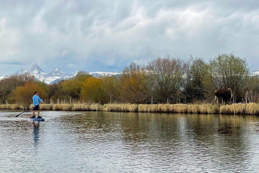 Teton River Paddleboard Adventure - 4.5 Miles 5