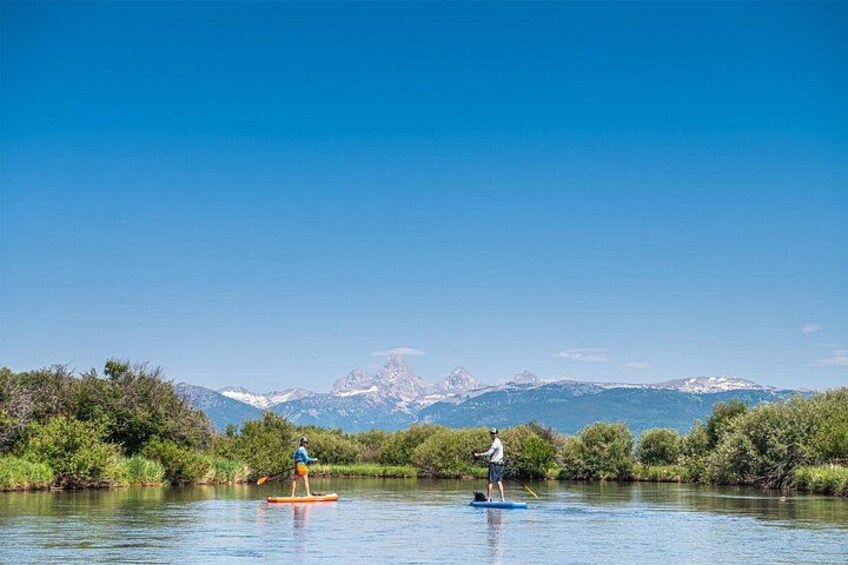 Teton River Paddleboard Adventure - 4.5 Miles 2