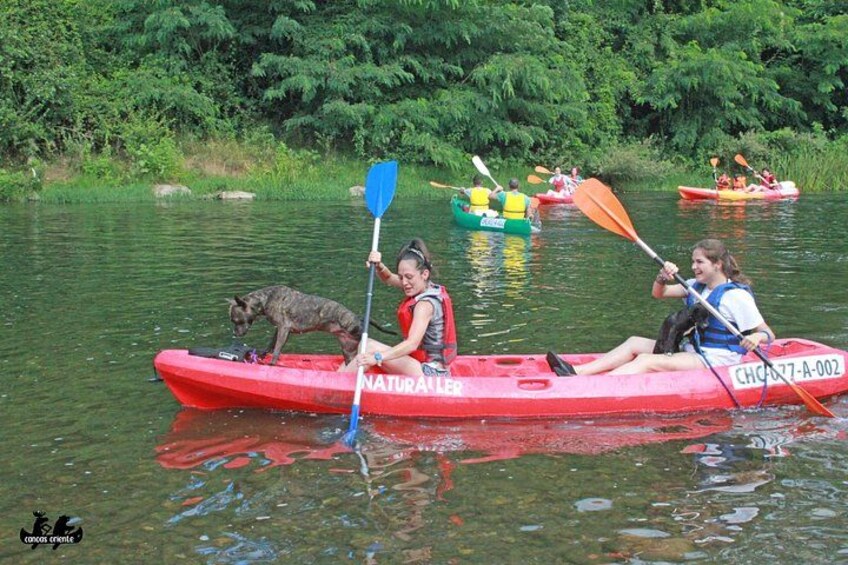 Personer som paddlar kajak på en flod, och en hund sitter i en av kajakerna. 4