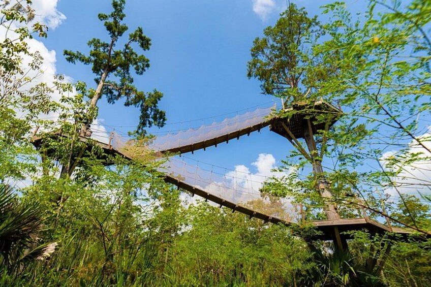 New Orleans Zipline Swamp Tour 3