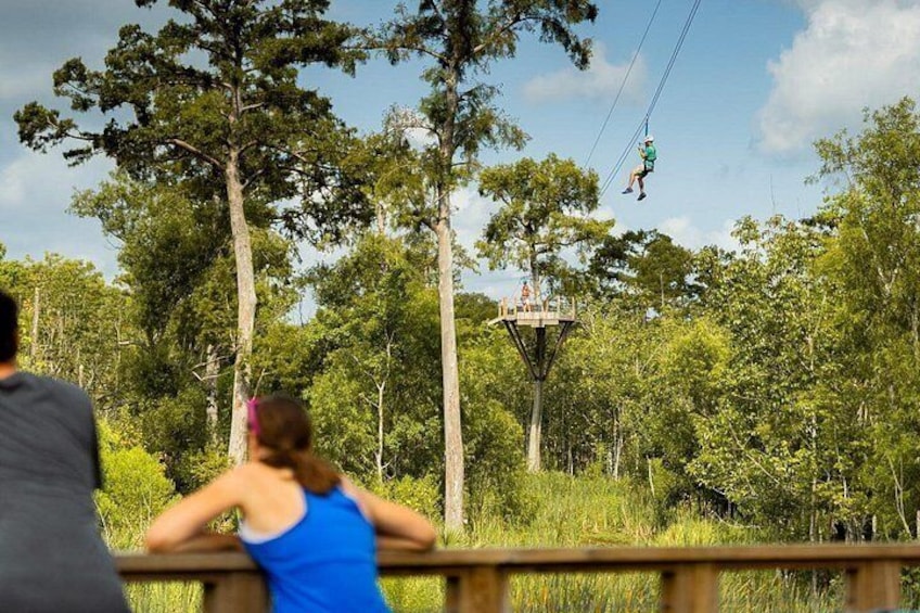 New Orleans Zipline Swamp Tour 2