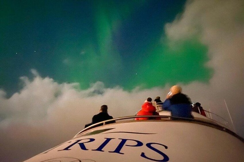 A group of people observing the Northern Lights from a dome structure with the text 'RIPS' on it. 1