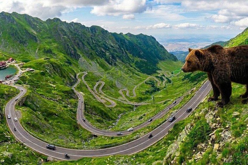 Top Gear Road, Small-group max 7 pax with Pick-up, Transfăgărăşan 1