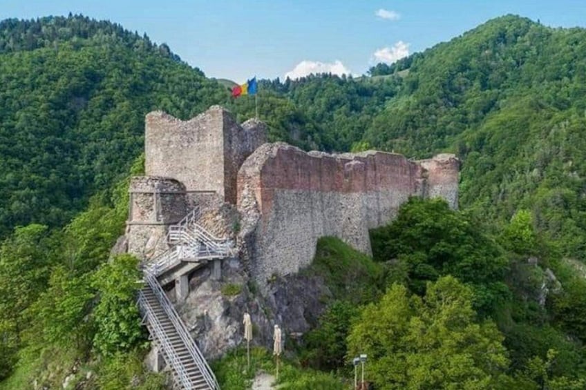 A historic stone castle surrounded by lush green forest. 3