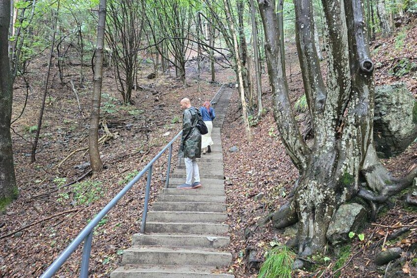 A wooden staircase in a forest with metal railings, surrounded by trees and rocks. 4