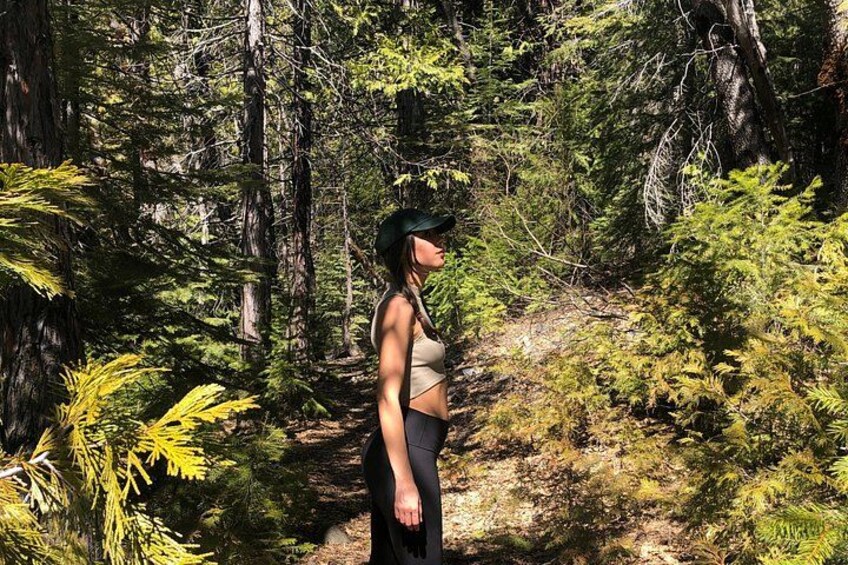 Redwoods Forest Bathing 3