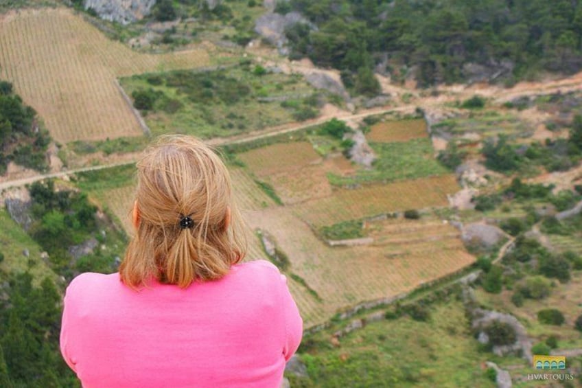 A person with blonde hair tied in a ponytail, wearing a pink top, overlooking a landscape with terraced fields and a winding path. 5