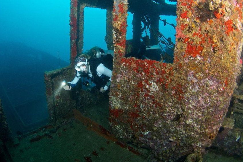 A diver exploring a sunken shipwreck with visible rust and marine growth. 1