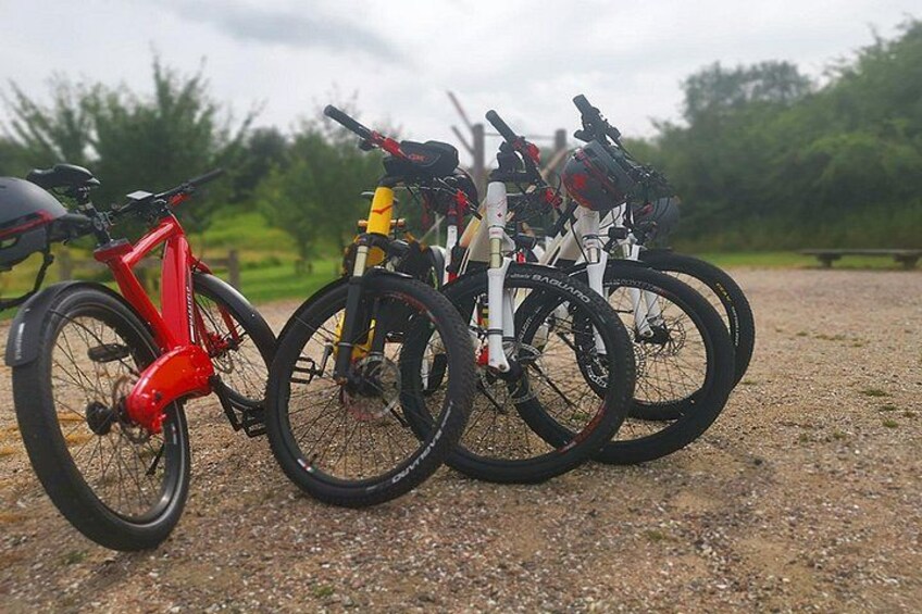 E-biking Central Forgotten Giants' s Adventure 3