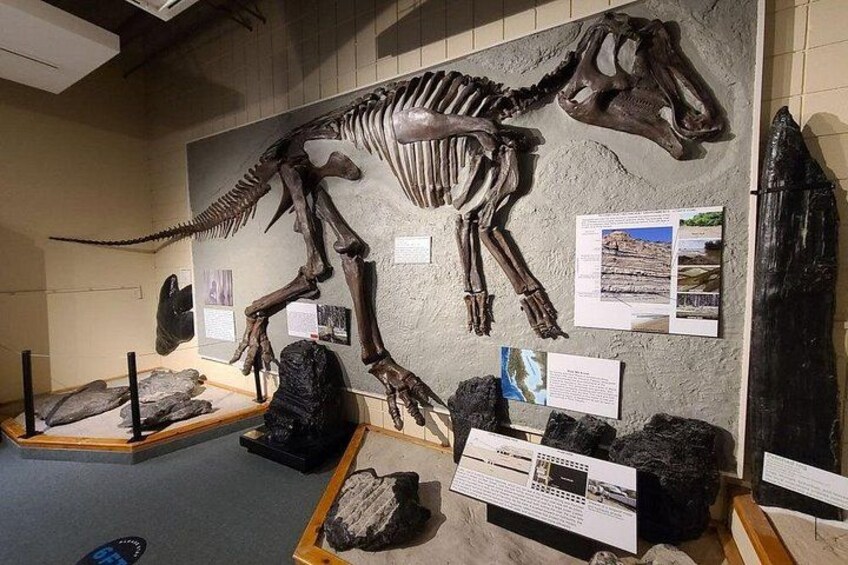 A large dinosaur skeleton exhibit with informational plaques and surrounding rocks. 3