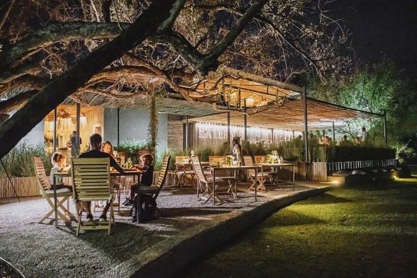 Un espace de restauration en plein air, aménagé sous la canopée d’un arbre, la nuit. 4