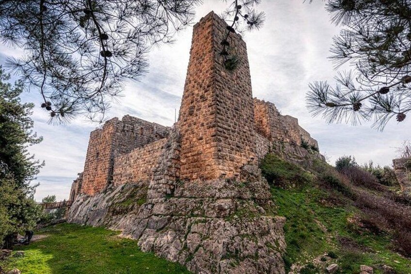 A stone castle with a tall tower, surrounded by trees and grass. 3