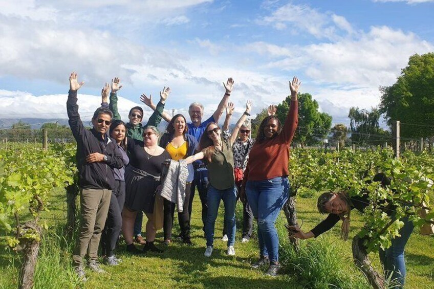 Un grupo de personas en un viñedo, con las manos levantadas, quizás celebrando o tomándose una foto de grupo. 1
