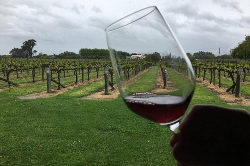 Viñedo con hileras de vides y una copa de vino tinto al frente. 4