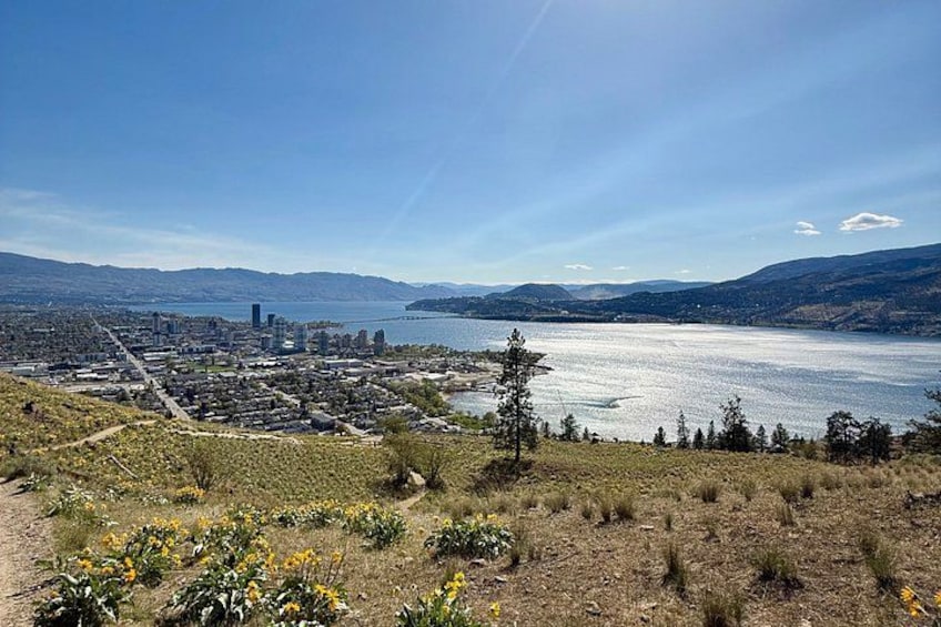Kelowna: #1 Rated Walking Food Tour with 7 Tastings and 4 Drinks 2