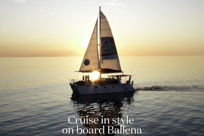 A sailboat named Ballena cruising on calm waters during sunset. 2