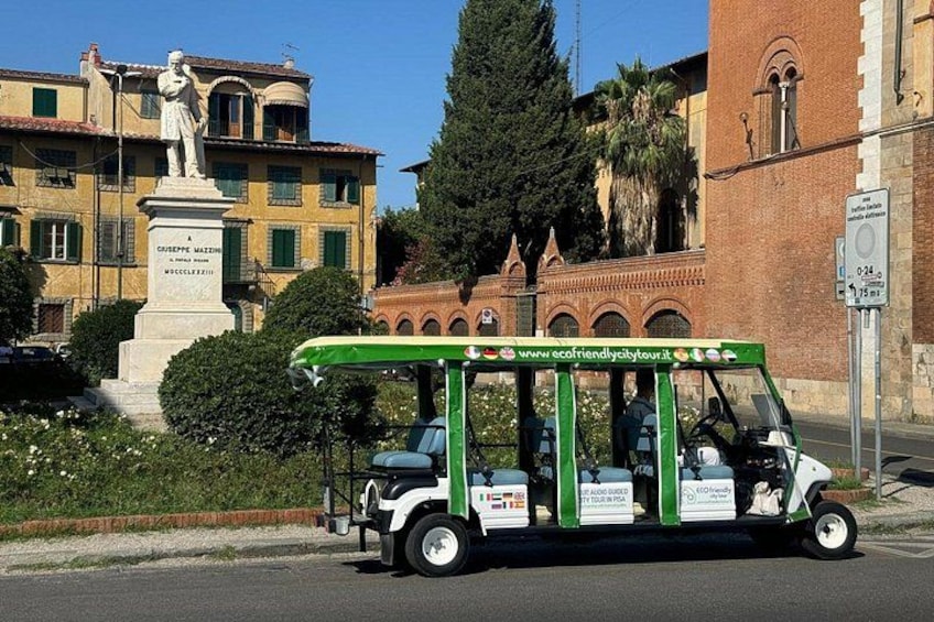 Electric Golf Cart 2