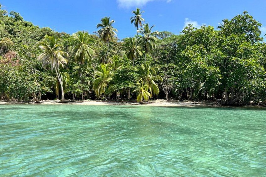 Caribbean Catamaran Day Cruise: Beaches, Snorkeling & Lunch 3
