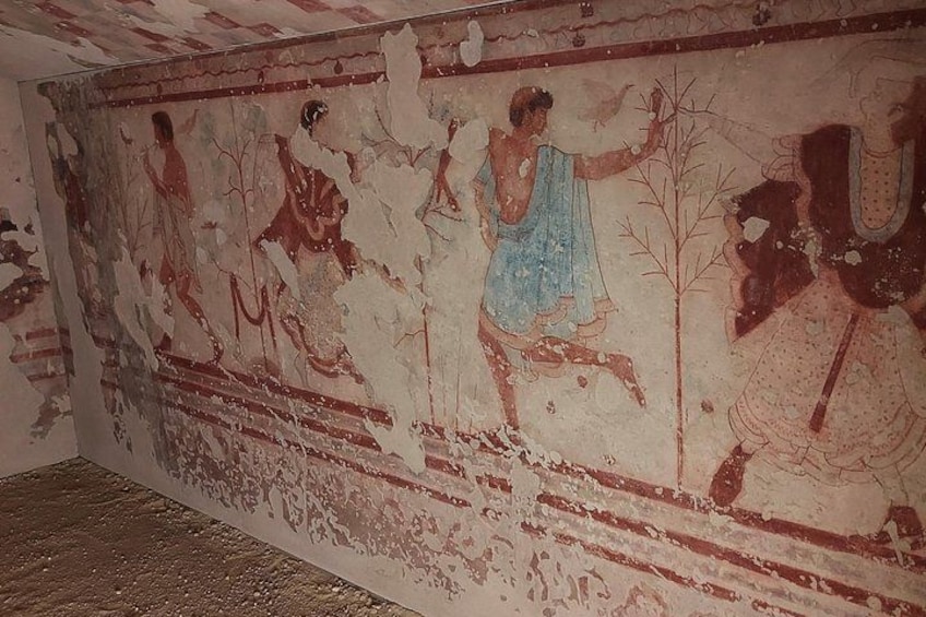 Tarquinia: Etruscan Necropolis and Museum - Private Tour 4