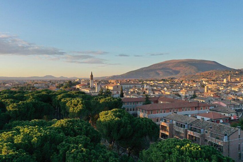 A cityscape with a prominent church, dense greenery, and a mountain in the background. 5