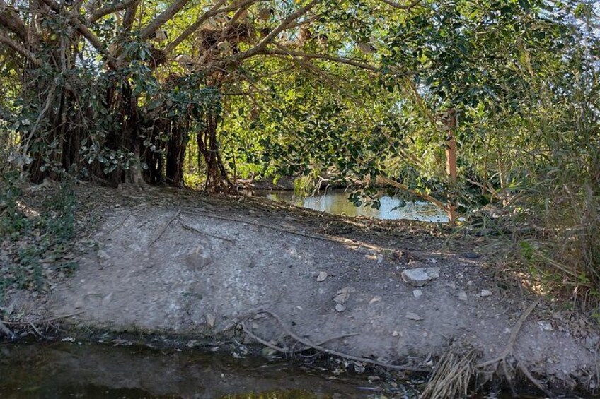 Litchfield Tour & Crocodile - Crocodylus Park 3
