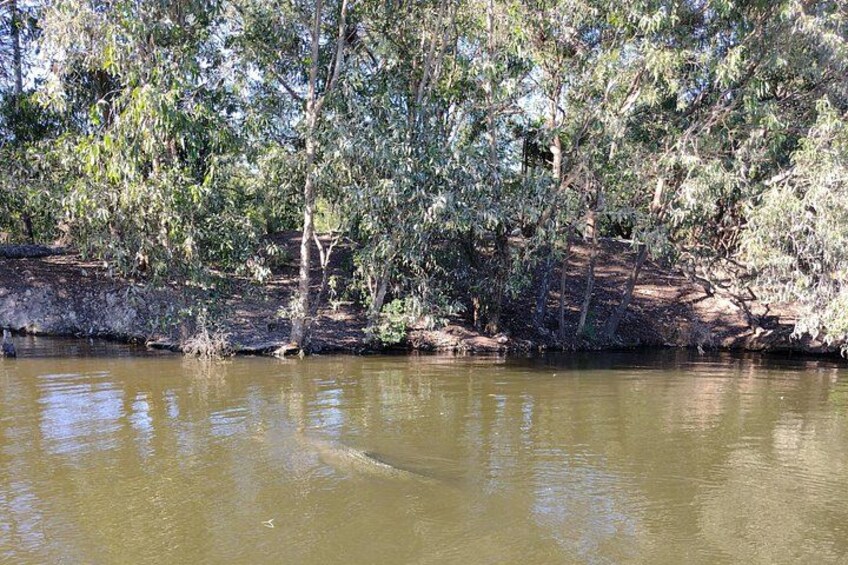 Litchfield Tour & Crocodile - Crocodylus Park 5