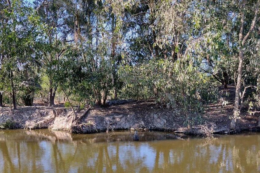 Litchfield Tour & Crocodile - Crocodylus Park 4