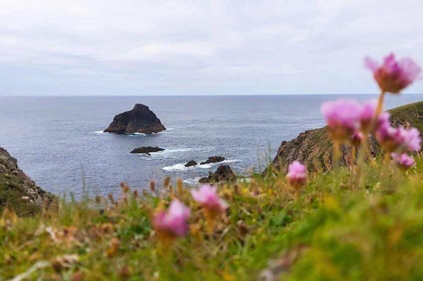 Ett kustlandskap med en markant klippformation, en gräsklädd förgrund med vilda blommor och havet i bakgrunden. 3