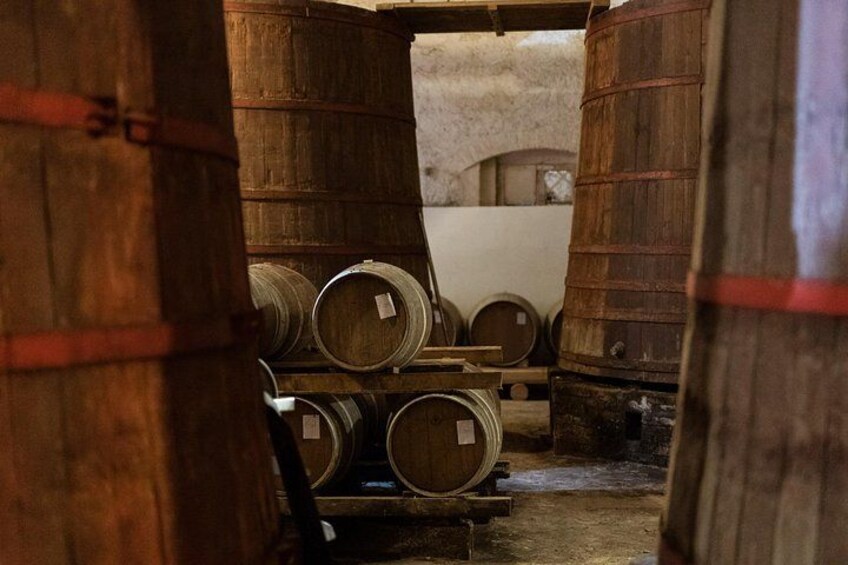 Private Food and Wine Tour in the Cellar with Tastings 2
