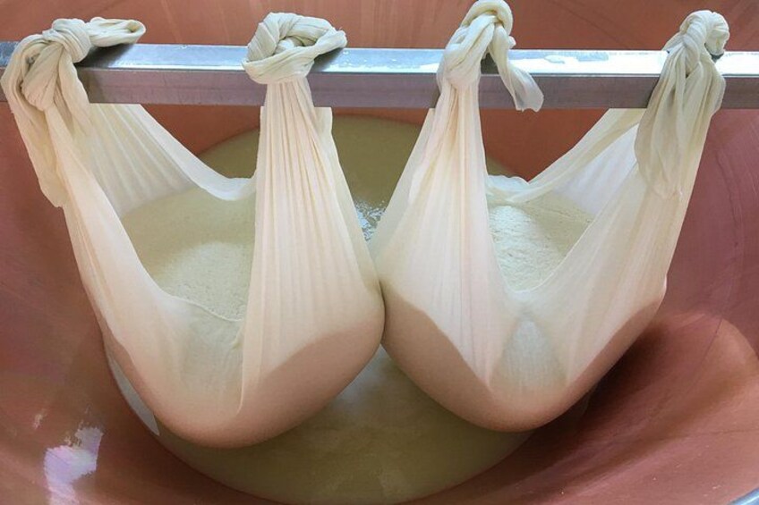 Parmigiano-Reggiano Tour and tastings 3