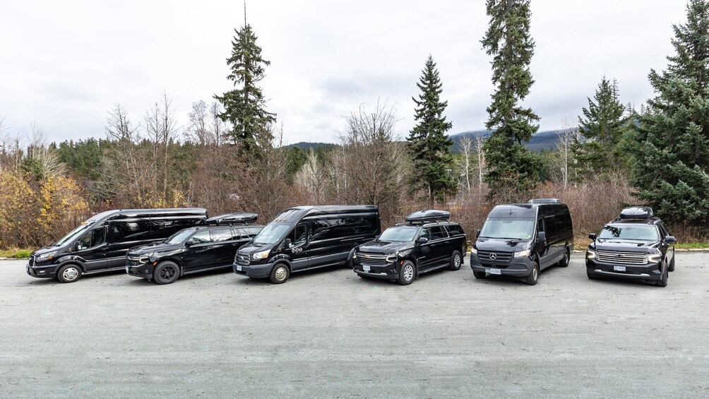 Private Executive Minibus: Downtown Vancouver - Whistler 5